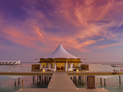 Cinnamon Hakuraa Main Pic 1